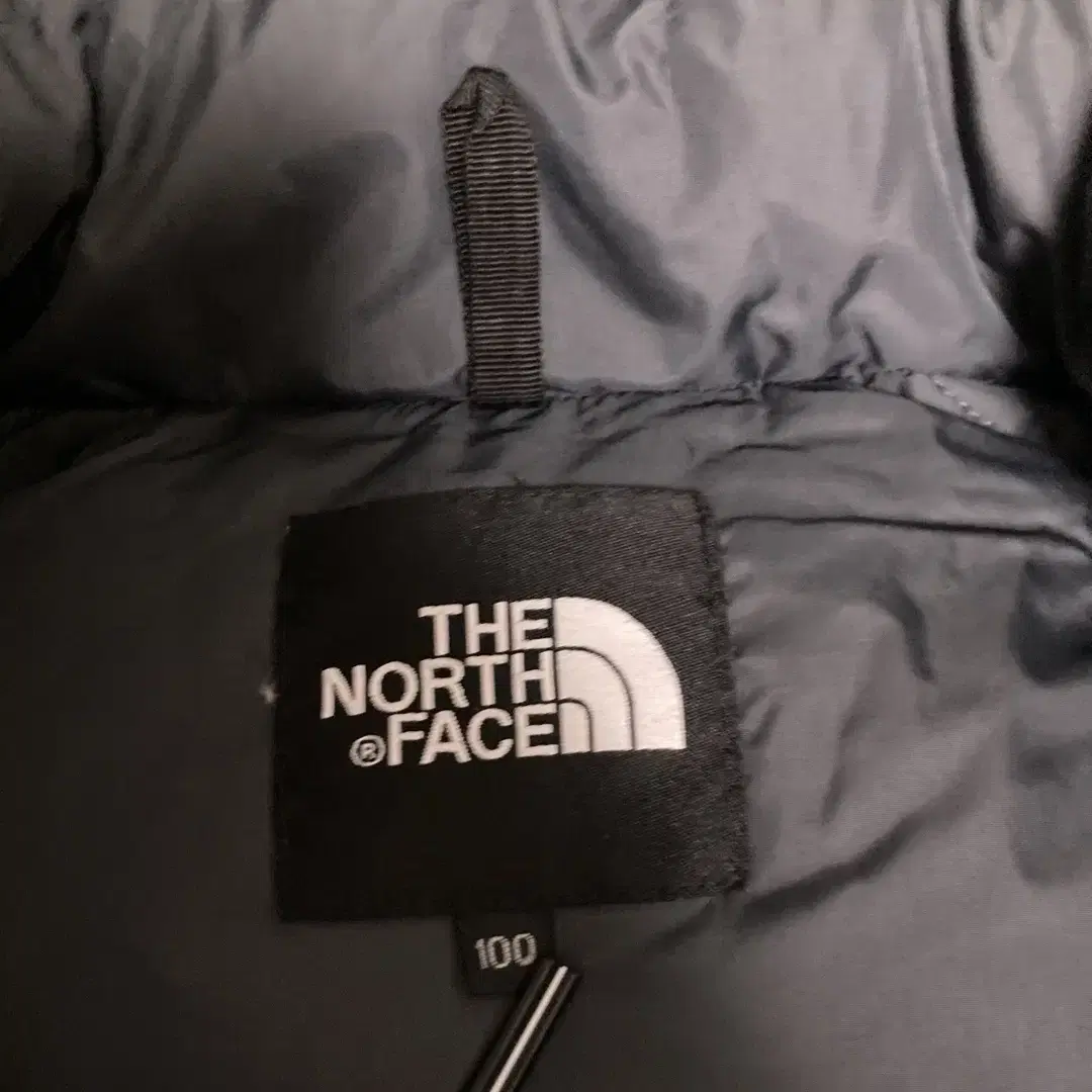 [L] The North Face 눕시 다운 재킷 700 그린 패딩