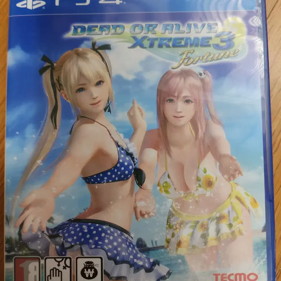 ps4 플스4  doax3 포츈 포춘