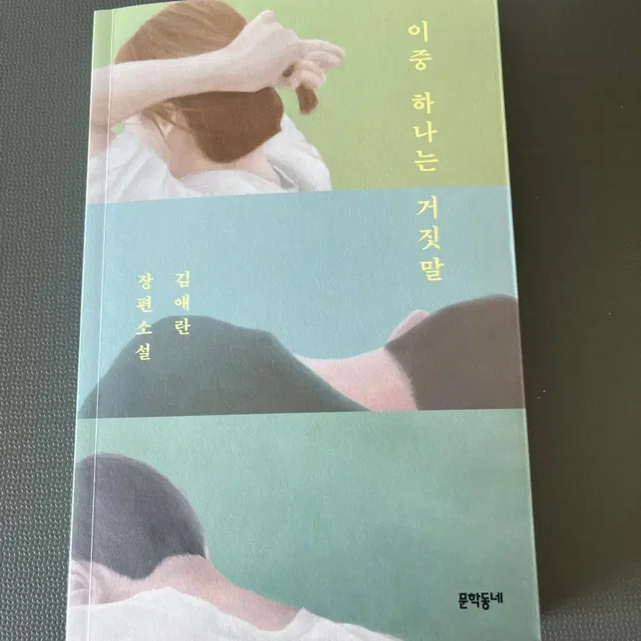 이중 하나는 거짓말 김애란 소설