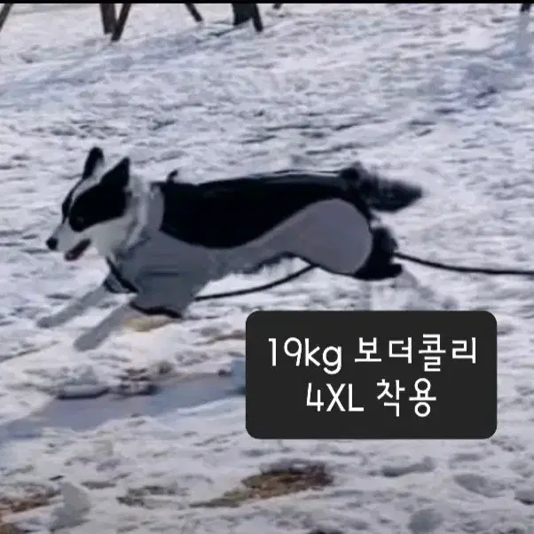 *새상품 11 - 40kg 대형견 중형견 강아지옷 패딩