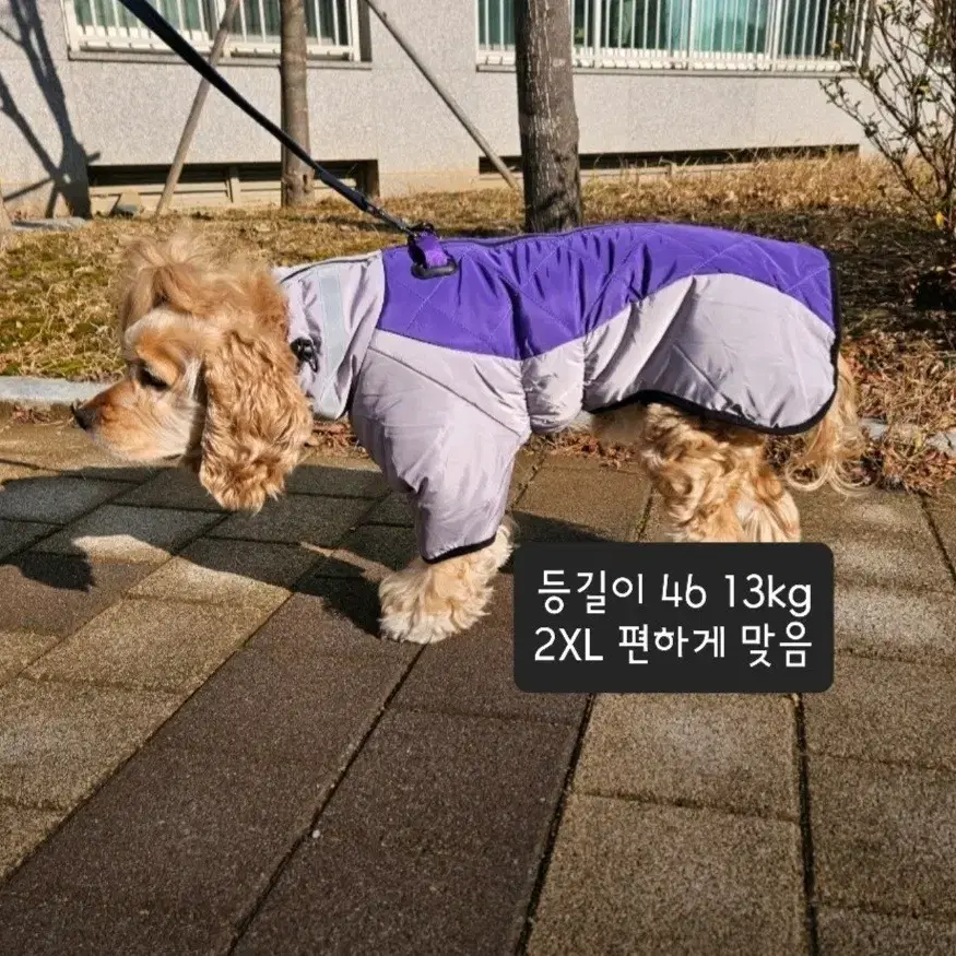 *새상품 11 - 40kg 대형견 중형견 강아지옷 패딩