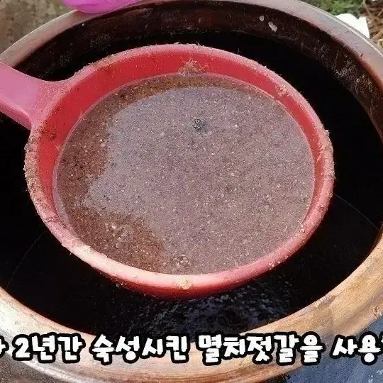 절인고들빼기김치 1키로