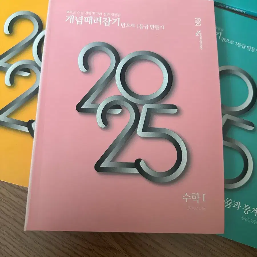 정승제t 2025 개때잡