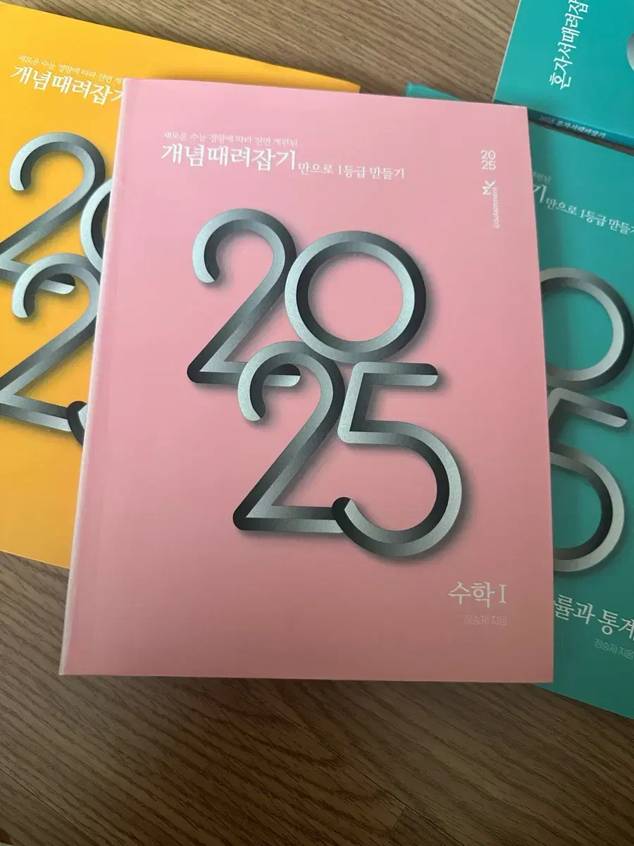 정승제t 2025 개때잡