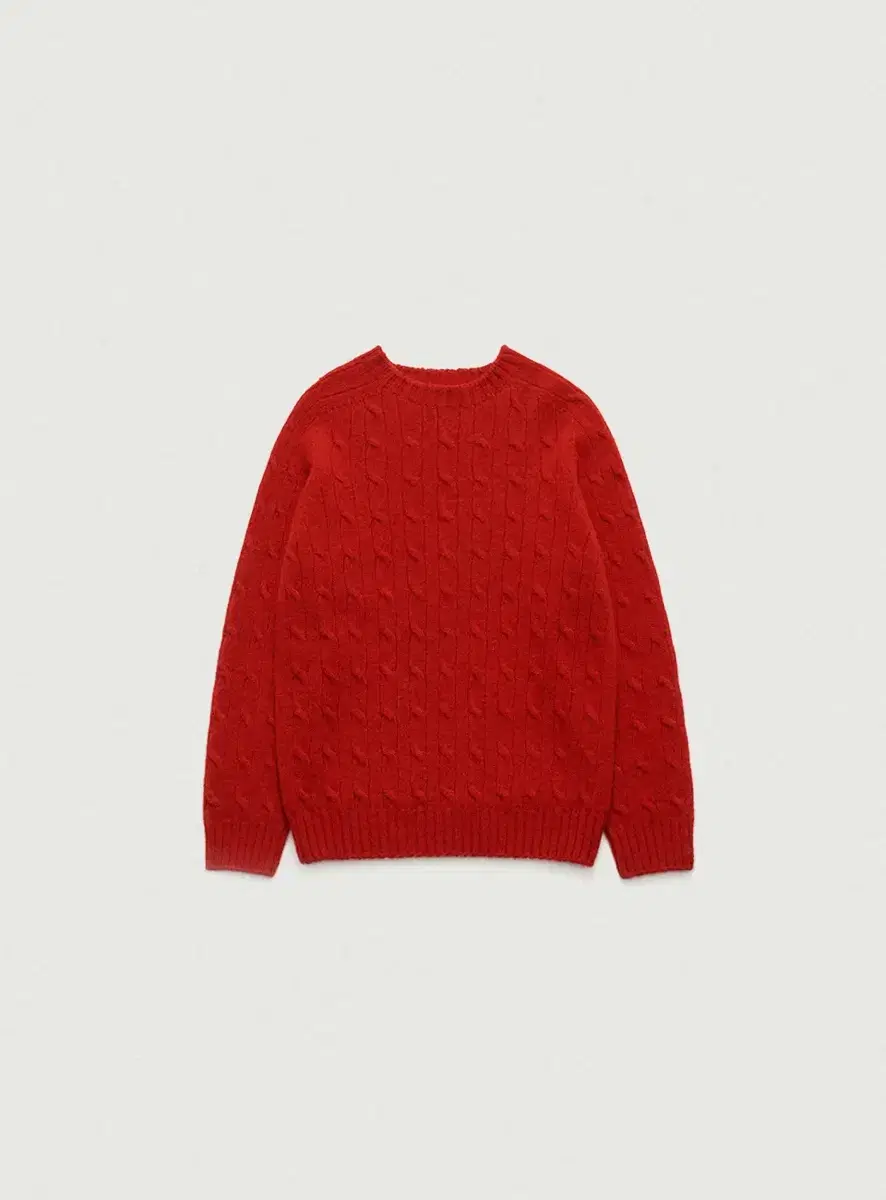 더바넷 레드 shaggy dog knit sweater