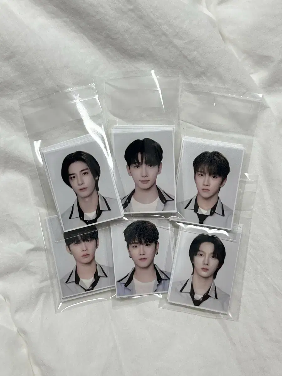 3rd Restock!! / boynextdoor ID Photo Summer ver. All Members! / Boynextdoor ID Photo