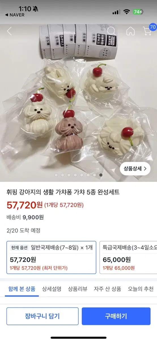 휘핑 강아지 가챠