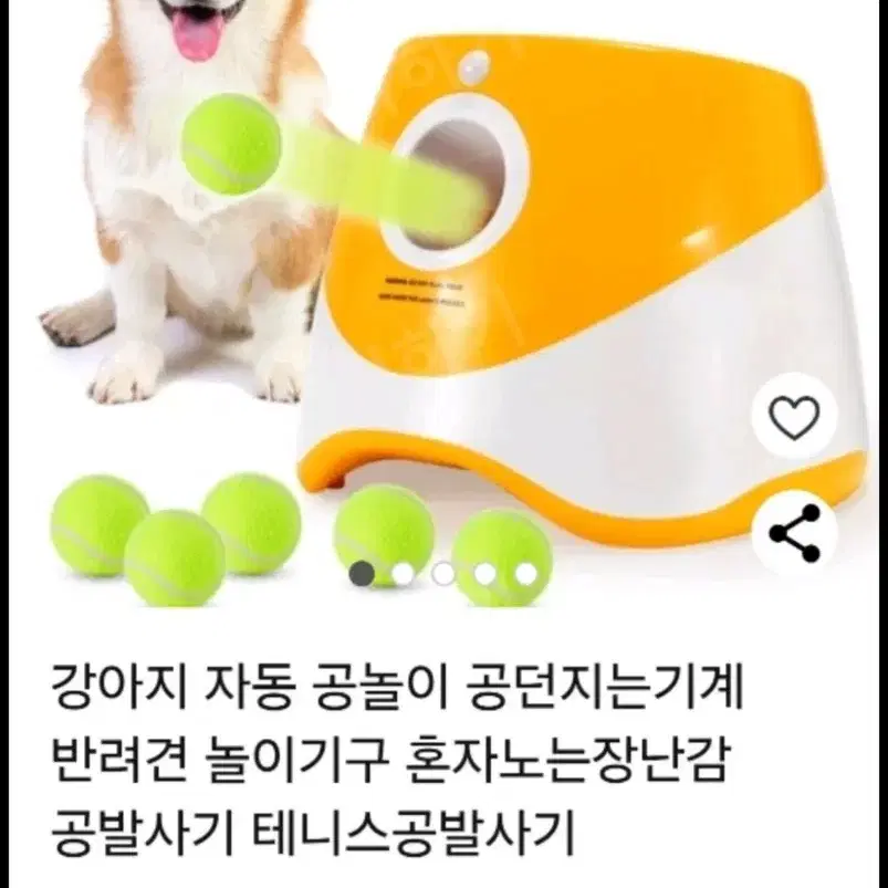 강아지 자동공놀이