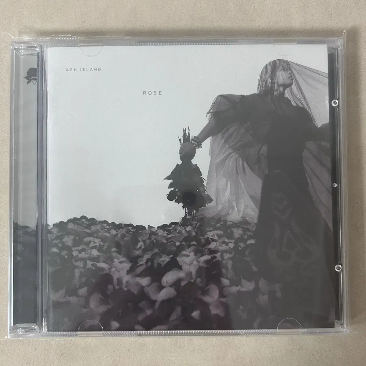 애쉬아일랜드 rose ash island 로즈 Cd