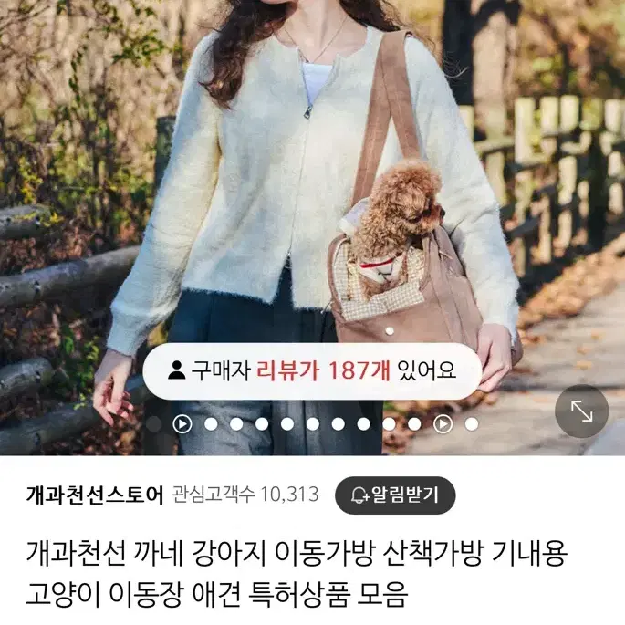 개과천선 까네 강아지 이동가방