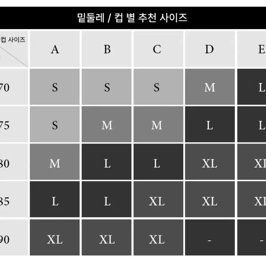 일괄) 에블린 불륨형 실루엣 브라m 베이지화이트 속옷베리시크라시앙카인다미