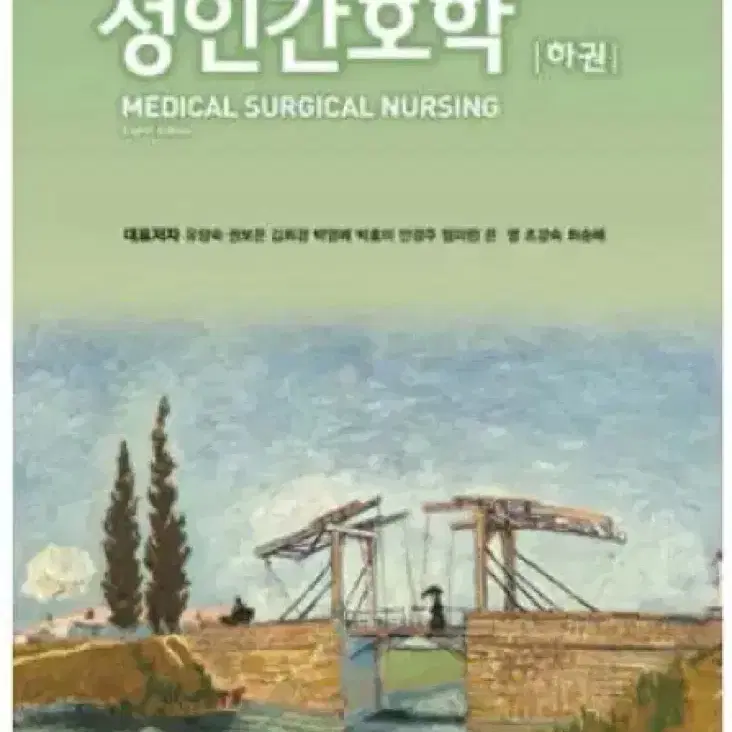 현문사 성인간호학 (하)