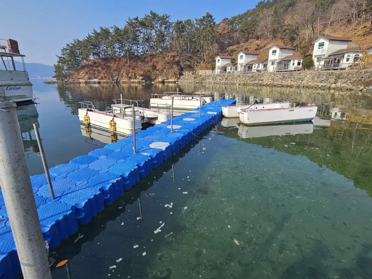 레져선 전기엔진 보트 판매합니다