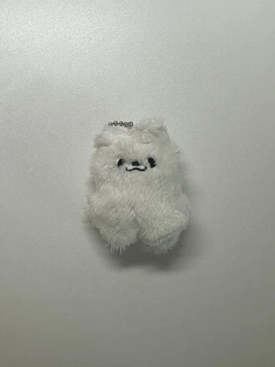 (급처)엔시티드림 제노 인형 예드젠 양도