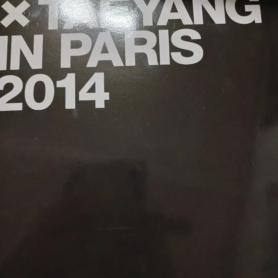 지드래곤&태양 in Paris 2014