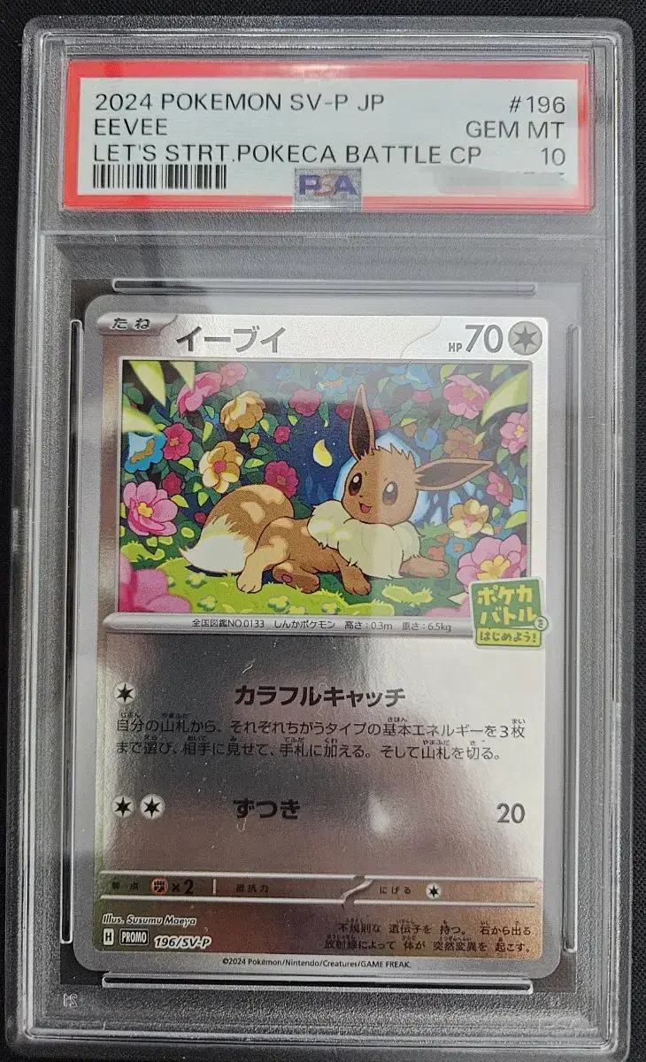 일판 이브이 프로모 PSA10