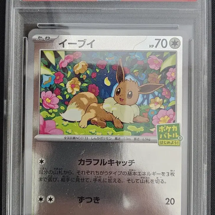 일판 이브이 프로모 PSA10