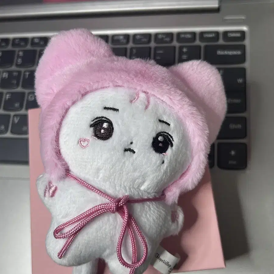 택포)핑냥이 아이유 인형