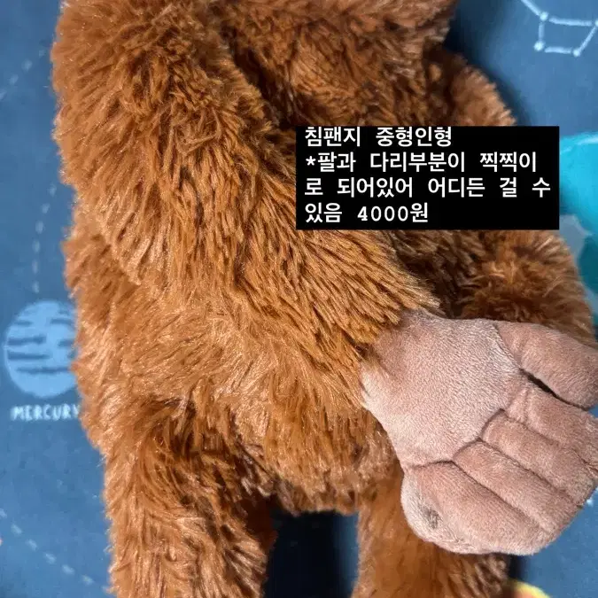 귀여운 인형