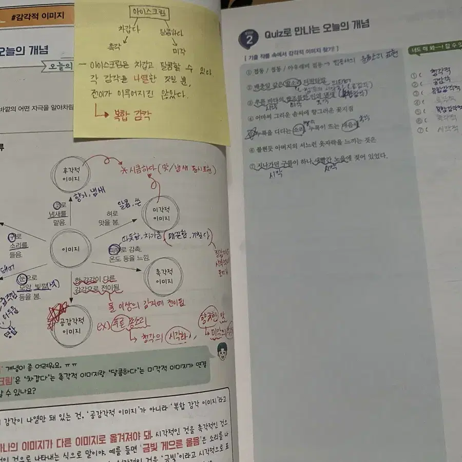 윤혜정의 나비효과 입문편 문제지&정답지