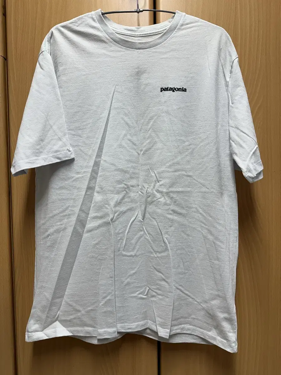 Patagonia P-6 logo responsibili-tee M