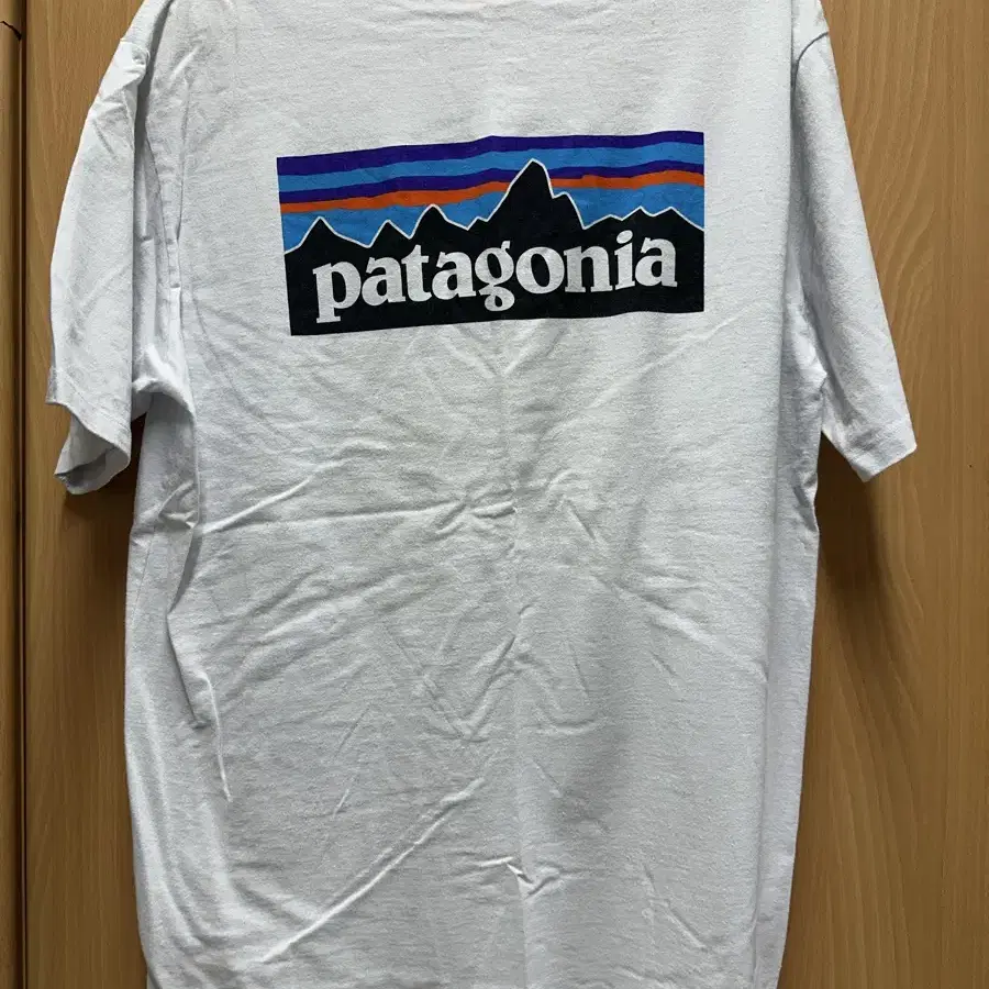 Patagonia P-6 logo responsibili-tee M