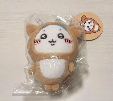 치이카와 (먼작귀) 나가노 전시회 하치왈레마 스캇