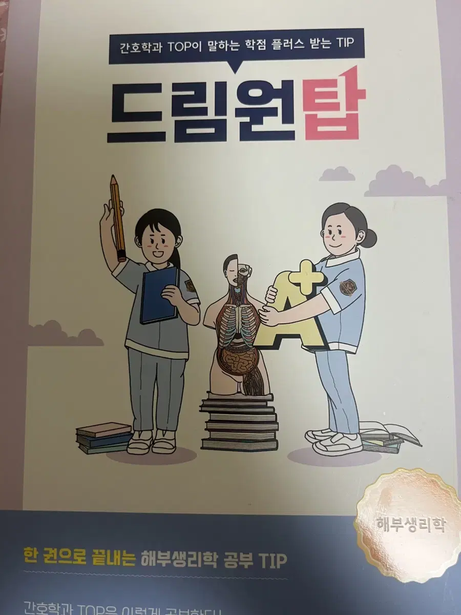 드림원탑 해부생리학