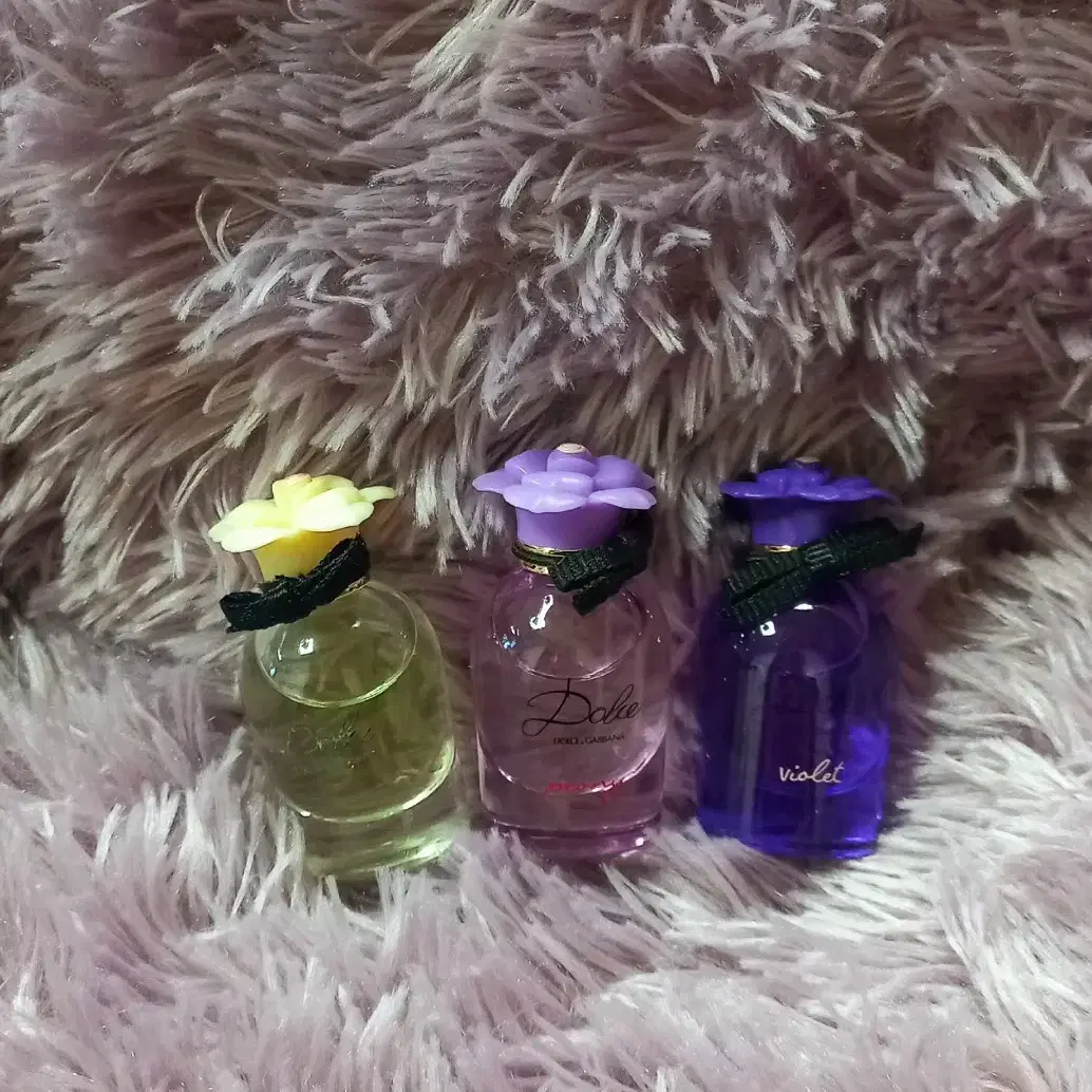 돌체피오니  미니어처 5ml (3종 일괄 )