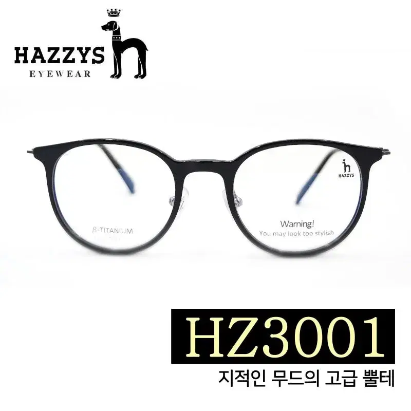 HAZZYS 뿔테안경테  HZ3001  C04