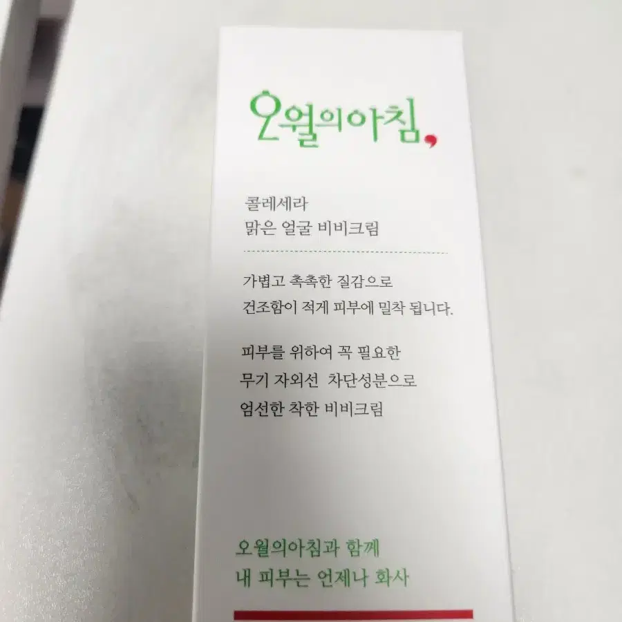 오월의 아침 비비크림