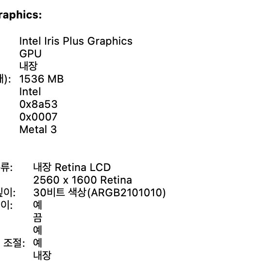 2020 맥북 프로 13인치 인텔 i5(RAM 16, SSD 512)