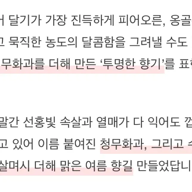 유일!! 텀블벅 무화과 향수 마젠타펄 낫어휘기에 퍼퓸 펀딩