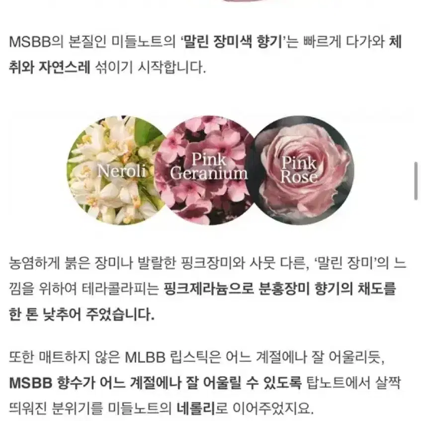 유일!! 텀블벅 니어바이 테라콜라피 MSBB 살 냄새 향수