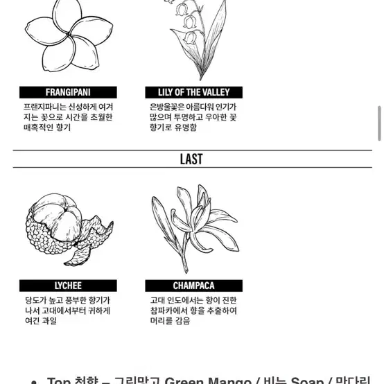 텀블벅 볼름에릭스 참프나 향수