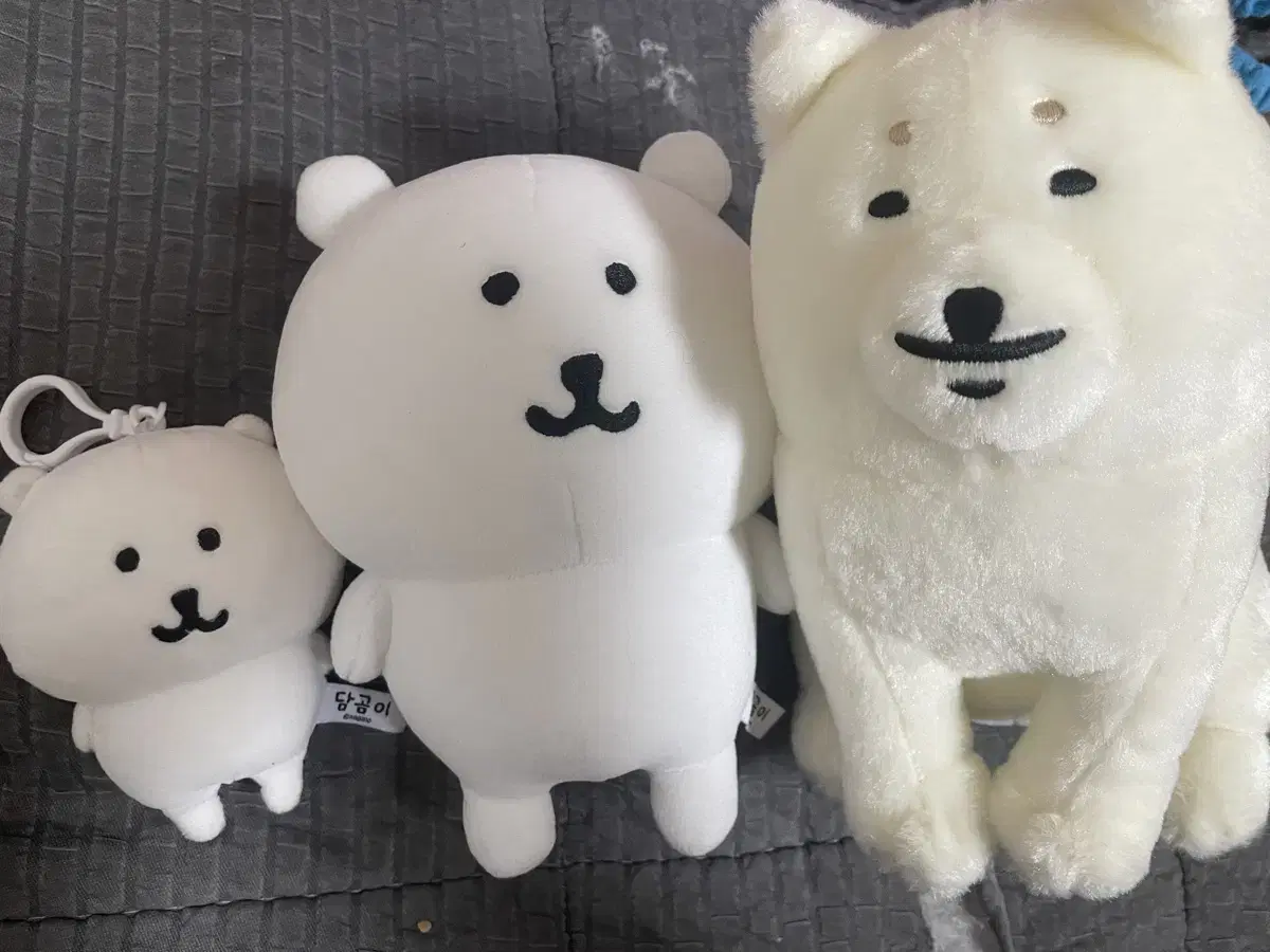 나가노 농담곰 강아지 인형 판매