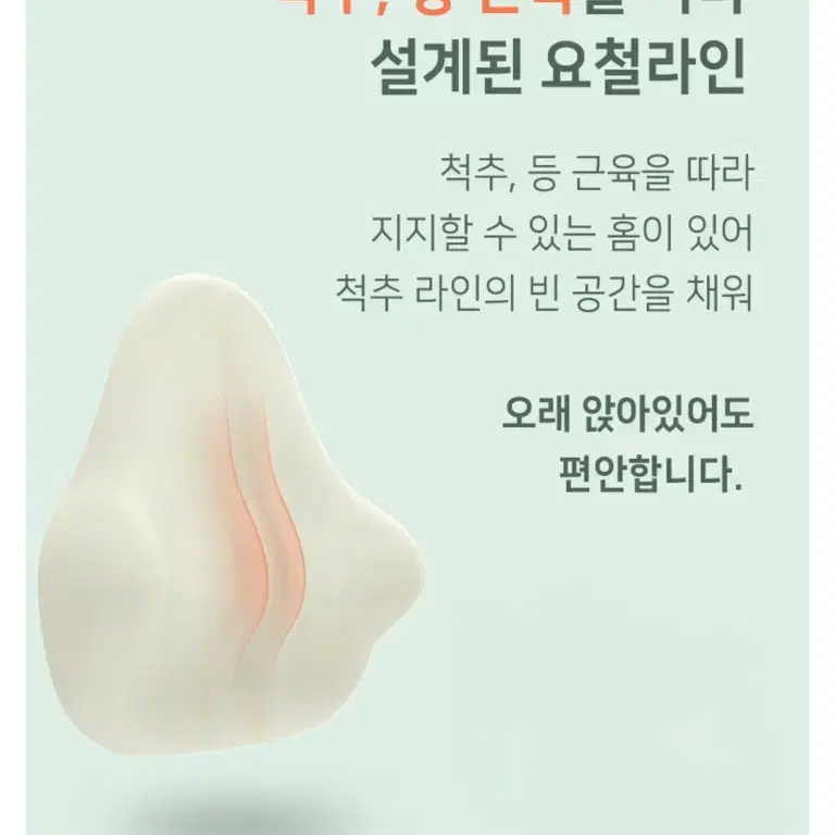 베네폼 바른 자세 소프트 허리쿠션