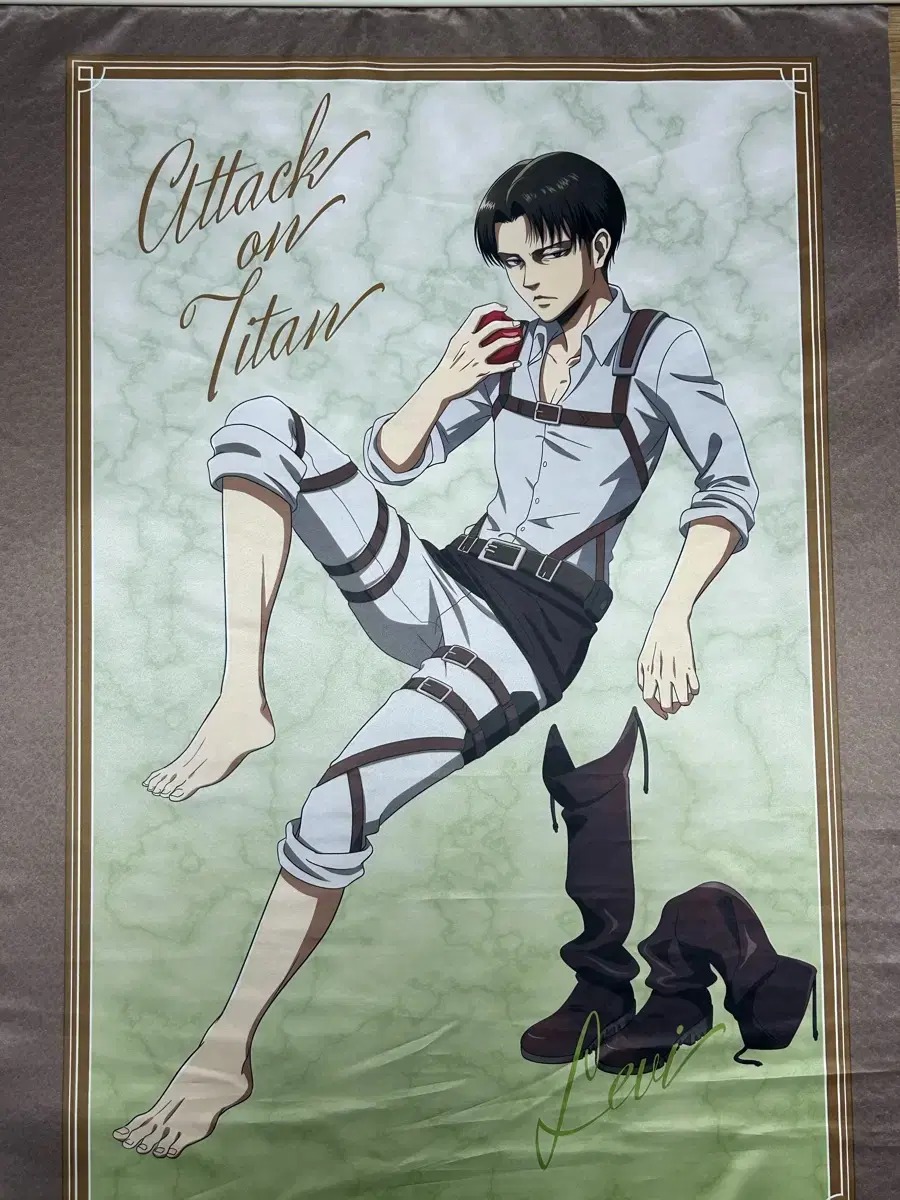 Jin-gyeong's Giant Super Rare Extra Large Levi's Apple Tapestry