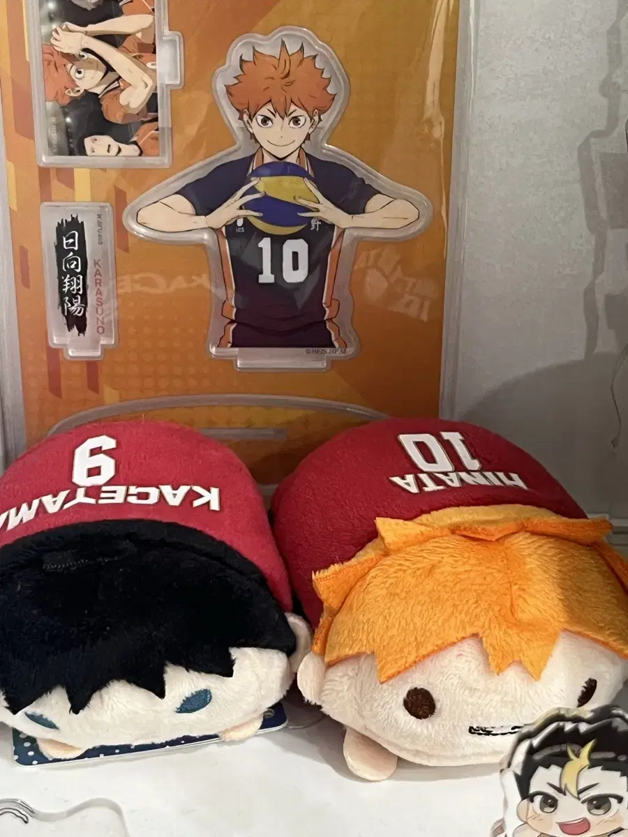 Urgent!! Bulk Price, Half-priced Delivery) Haikyuu hinata Kageyama's National Team Uniform Tsumtsumtsum