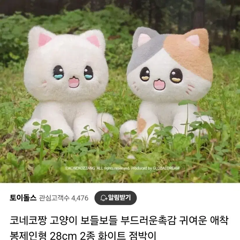 [새상품,택있음](정품인형)28cm 코네코쨩 고양이 인형(정가22000원