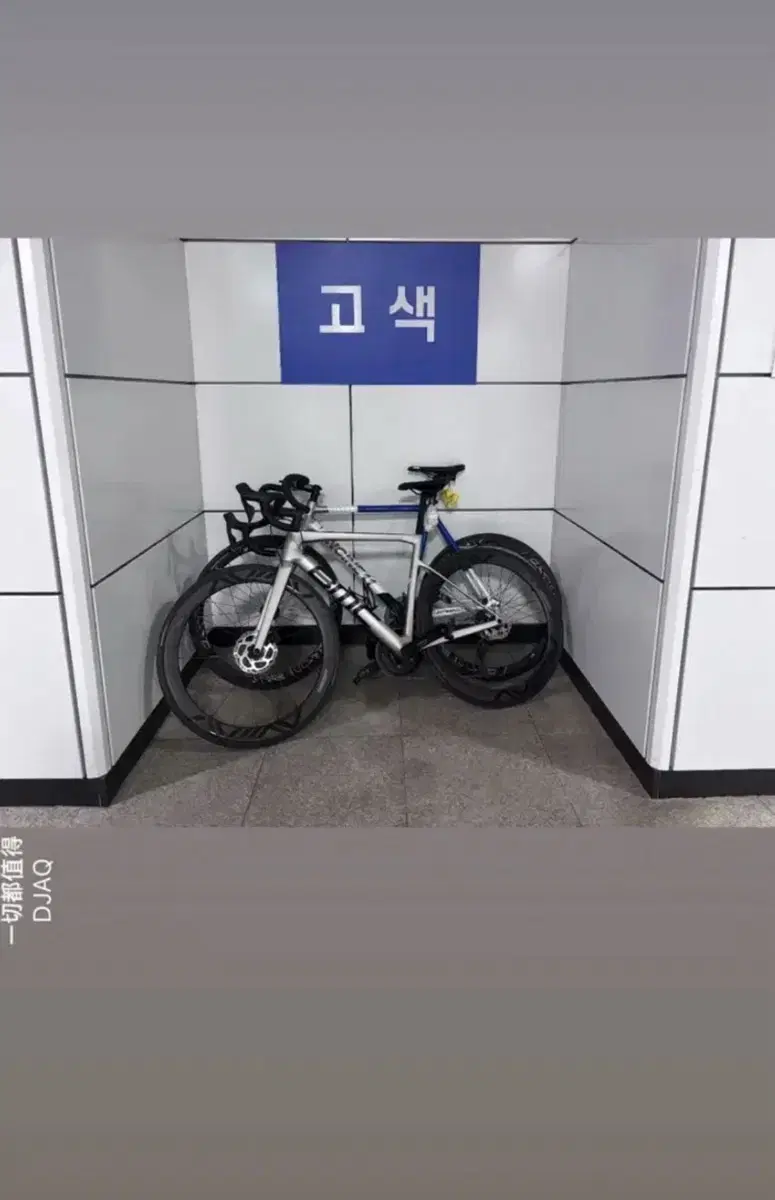 bmc 팀머신 slr5 마지막인하