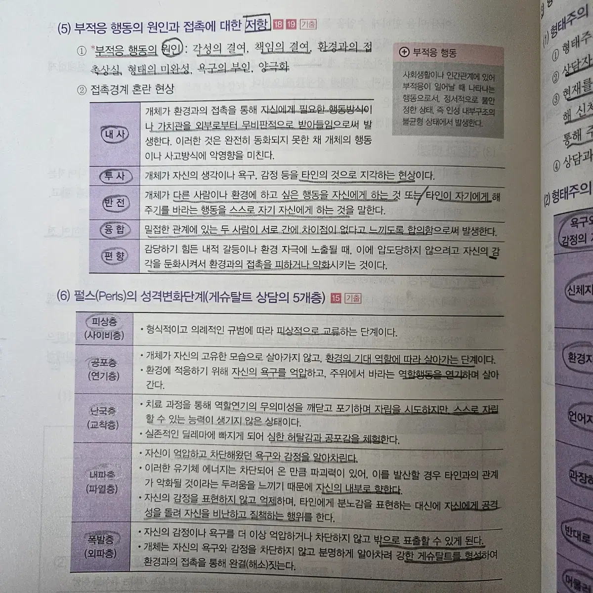 시대고시 청소년상담사3급 한권으로 끝내기(2020)