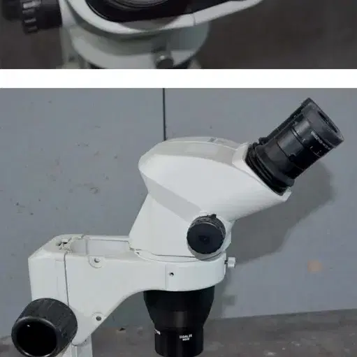 현미경 Olympus SZ61 Microscope