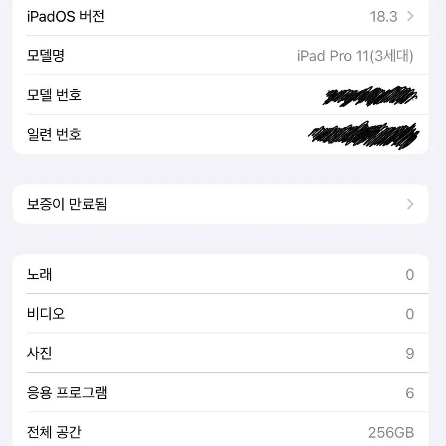 아이패드프로 11인치 M1 256GB