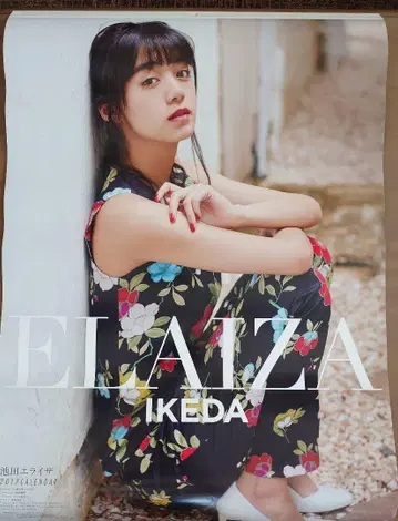 이케다 에라이자 2017 벽걸이 달력