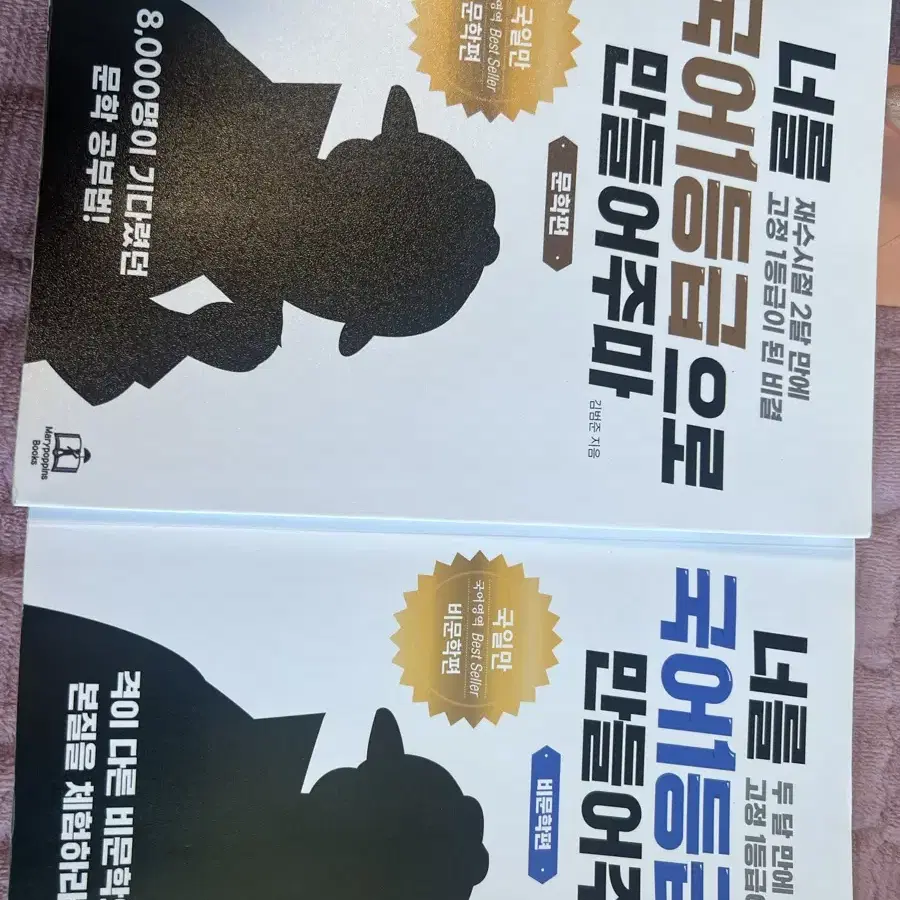 국일만 문학,비문학