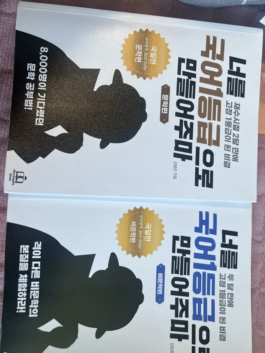 국일만 문학,비문학