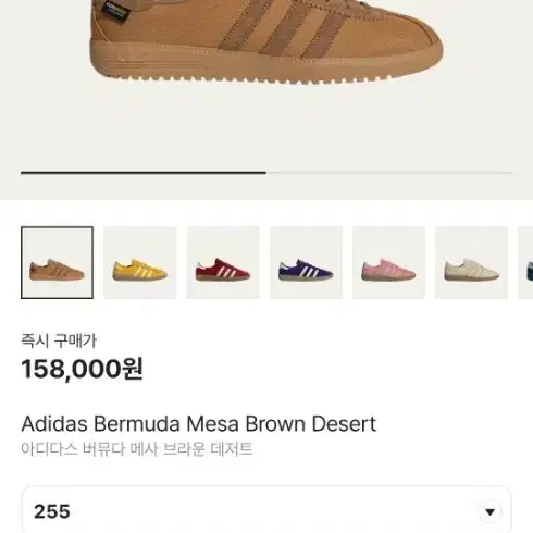 Adidas Bermuda Mesa Brown Desert 255