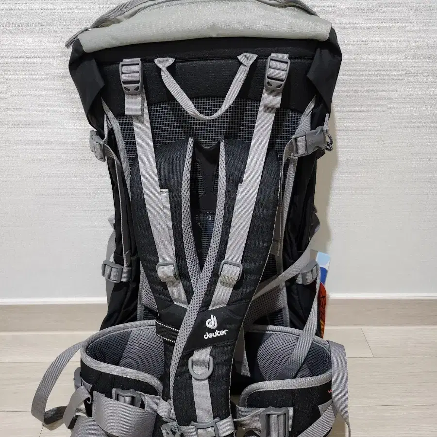 Deuter Futura Pro 34 배낭