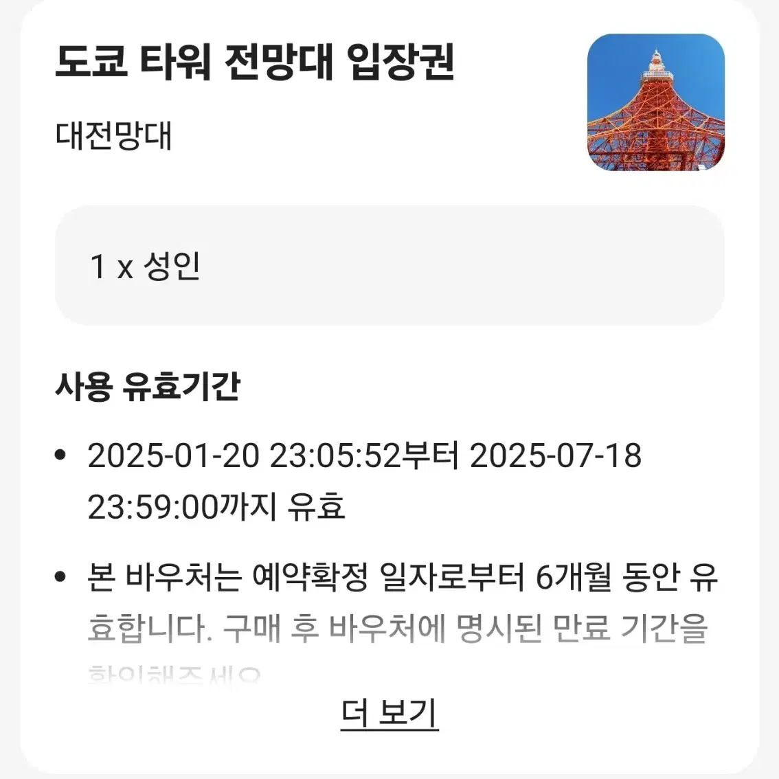 도쿄 타워 대전망대 입장권 일본 여행